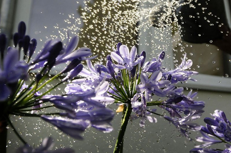 Wasserwirtschaft2
