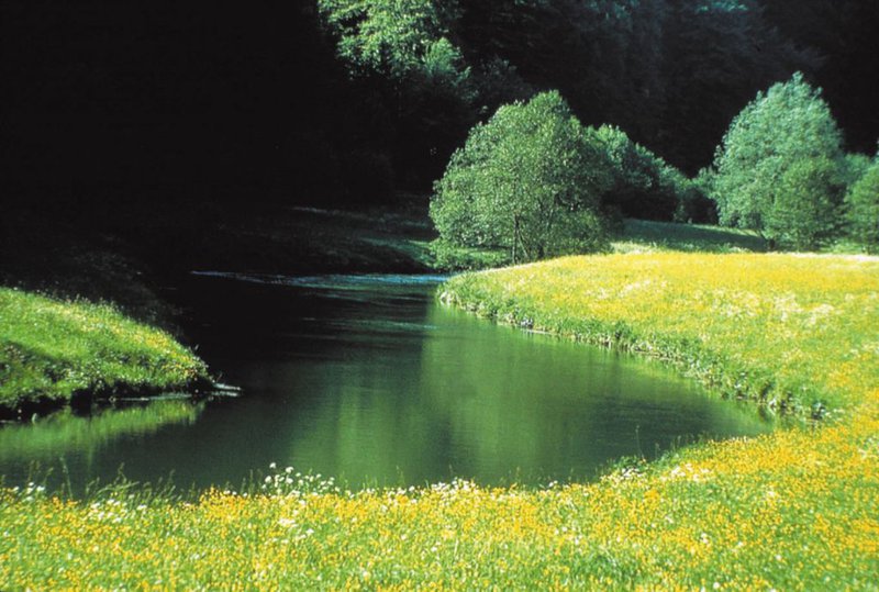 Themen des Verbands Wasser